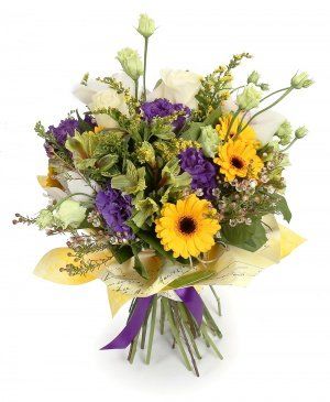 Imaginea produsului Natura Noastră Imaginea produsului Natura Noastră