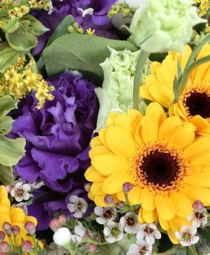 Imaginea produsului Natura Noastră