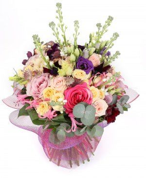 Imaginea produsului Raze De Magie Imaginea produsului Raze De Magie