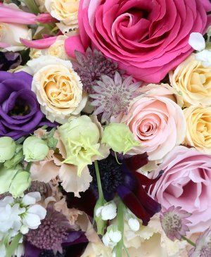 Imaginea produsului Raze De Magie