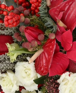 Imaginea produsului Pasiune Memorabilă