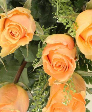 Imaginea produsului Inocența Iubirii