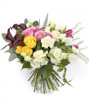 Imaginea produsului Romanță Exuberanță Imaginea produsului Romanță Exuberanță