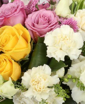 Imaginea produsului Romanță Exuberanță