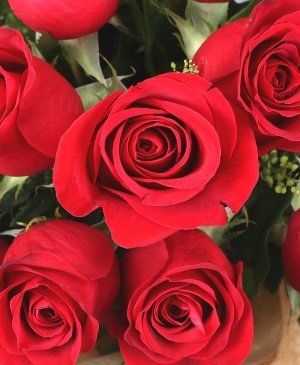 Imaginea produsului Iubire Arzătoare