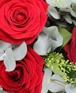 Imaginea produsului Pasiune înflăcărată