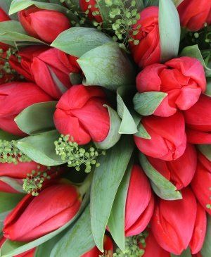 Imaginea produsului Lalele Ornate