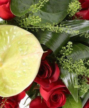 Imaginea produsului Pasiune înălțătoare