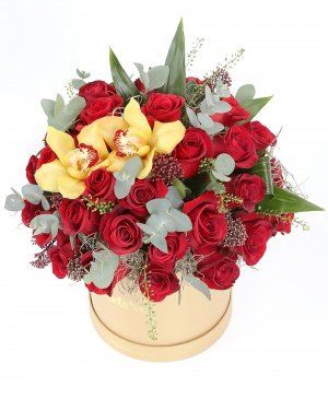 Imaginea produsului Pasiune și Romanță Imaginea produsului Pasiune și Romanță