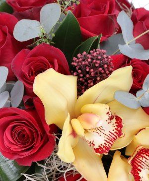 Imaginea produsului Pasiune și Romanță