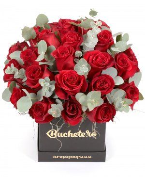 Imaginea produsului Minunăție Roșie Imaginea produsului Minunăție Roșie