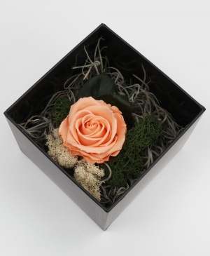 Imaginea produsului Trandafir Portocaliu Criogenat în Cutie Surpriză Imaginea produsului Trandafir Portocaliu Criogenat în Cutie Surpriză