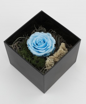 Imaginea produsului Trandafir Bleu Criogenat în Cutie Surpriză Imaginea produsului Trandafir Bleu Criogenat în Cutie Surpriză