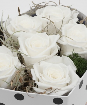 Imaginea produsului Inimă Pură