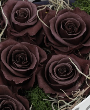 Imaginea produsului Inimă  Violet