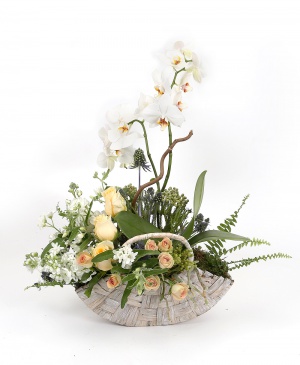 Imaginea produsului Elocvență Unică Imaginea produsului Elocvență Unică