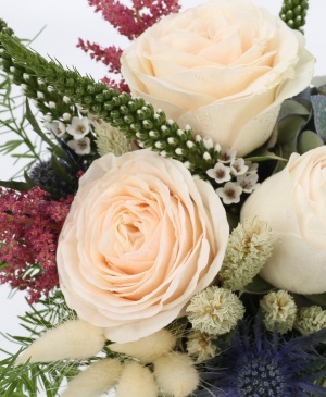 Imaginea produsului Fascinație Grăitoare