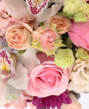 Imaginea produsului Fermecător