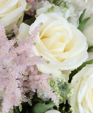 Imaginea produsului Iubire Pură