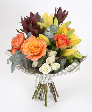 Imaginea produsului Oda Bucuriei Imaginea produsului Oda Bucuriei