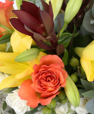 Imaginea produsului Oda Bucuriei