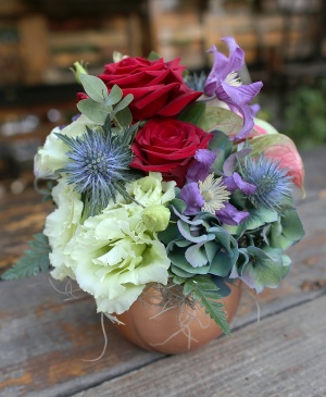 Imaginea produsului Stropi De Culoare Imaginea produsului Stropi De Culoare