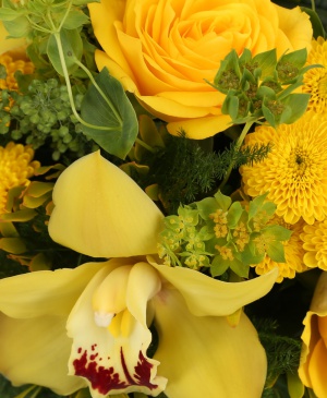 Imaginea produsului Răsare Soarele