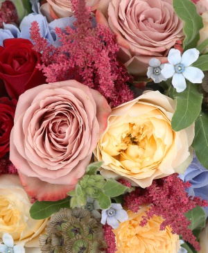 Imaginea produsului Senzație Unică