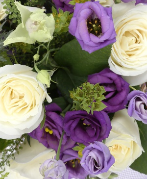 Imaginea produsului Admirație Pură