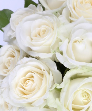 Imaginea produsului 35 De Trandafiri Albi Decoraţi (promo)
