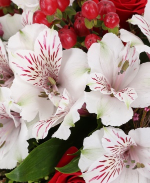 Imaginea produsului Fluturi Din Grădină