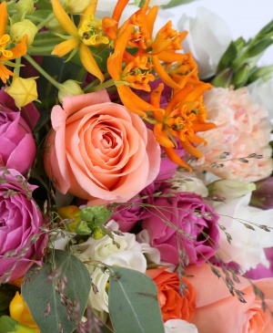 Imaginea produsului Carusel îndrăzneţ