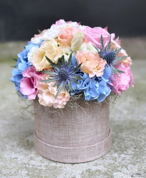 Imaginea produsului Adorație Clară Imaginea produsului Adorație Clară