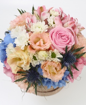 Imaginea produsului Adorație Clară