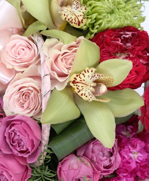 Imaginea produsului Tandrețe Fantastică