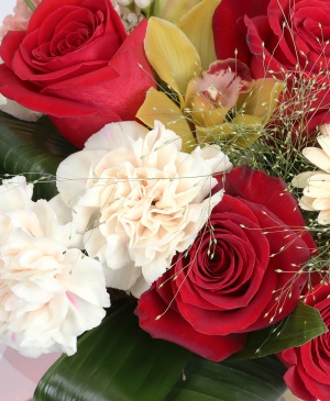 Imaginea produsului Caracter Distinct