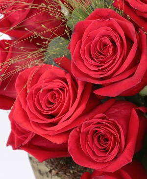 Imaginea produsului Cuibul Pasiunii