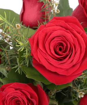 Imaginea produsului Iubire înțeleasă