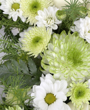 Imaginea produsului Armonie Eternă