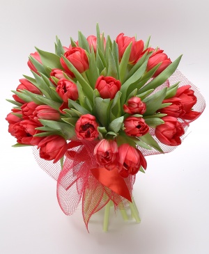 Imaginea produsului Lalele Iubirii Imaginea produsului Lalele Iubirii