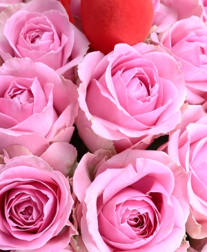 Imaginea produsului 51 Trandafiri Romantici