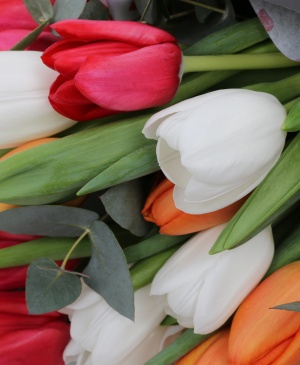 Imaginea produsului Veselia Primaverii