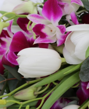 Imaginea produsului Orhidee Cu Lalele