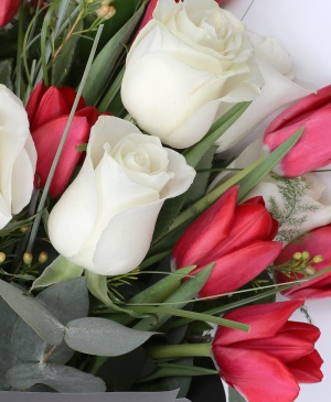 Imaginea produsului Contrast De Primăvară