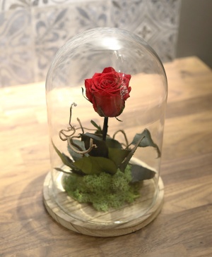 Imaginea produsului Trandafir Criogenat în Cupolă Imaginea produsului Trandafir Criogenat în Cupolă