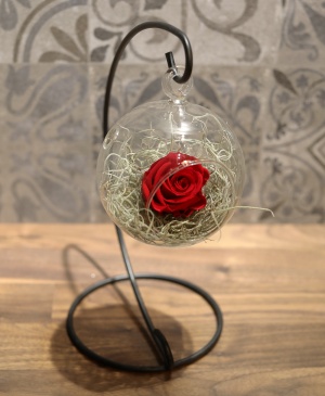Imaginea produsului Glob Cu Trandafir Criogenat Imaginea produsului Glob Cu Trandafir Criogenat