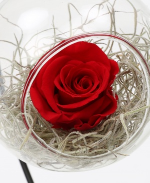 Imaginea produsului Glob Cu Trandafir Criogenat