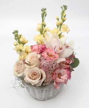 Imaginea produsului Coș Zglobiu Imaginea produsului Coș Zglobiu