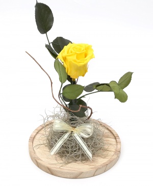 Imaginea produsului Cupolă Cu Trandafir Criogenat Galben Imaginea produsului Cupolă Cu Trandafir Criogenat Galben