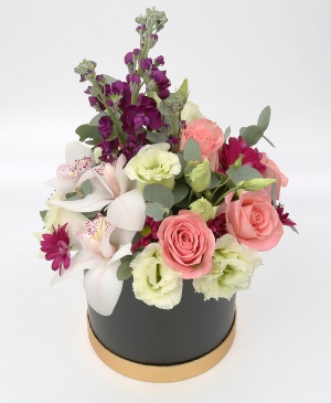 Imaginea produsului Cutie Rafinată Imaginea produsului Cutie Rafinată